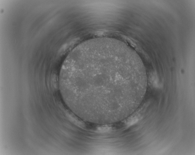 X0000070250470200606232012