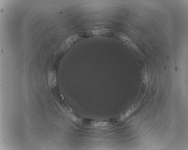 X0000070250471200606232012