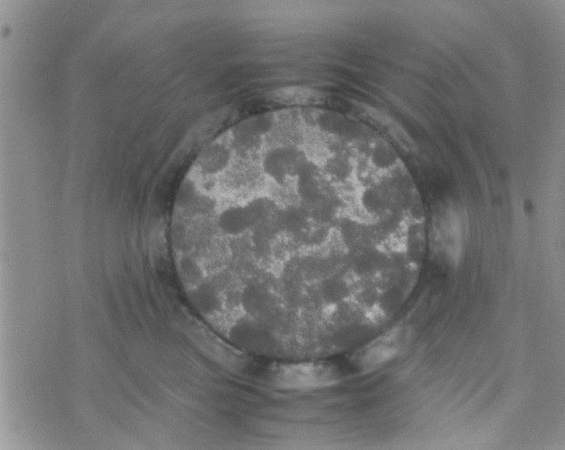 X0000070250473200606232012