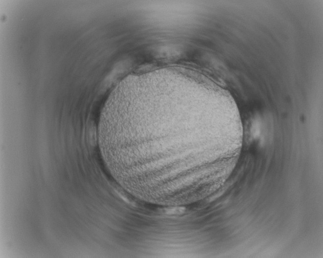 X0000070250474200606232012