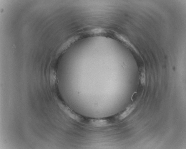 X0000070250476200606232012