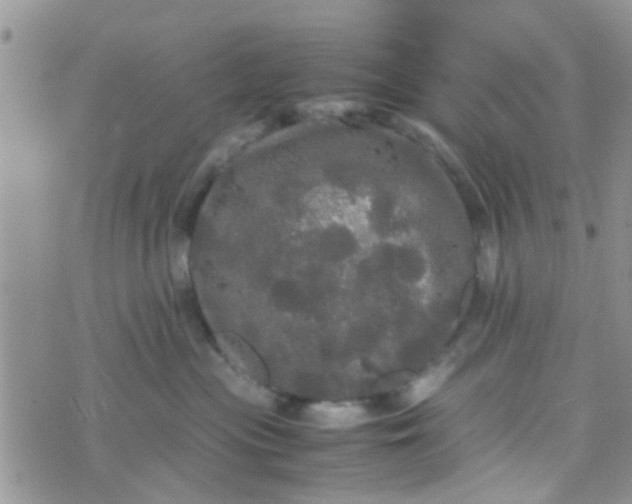 X0000070250477200606232012