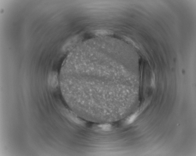 X0000070250478200606232012