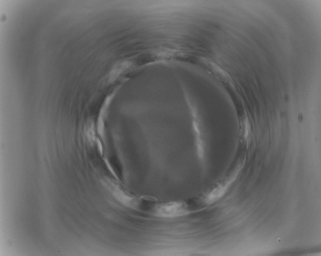 X0000070250479200606232012