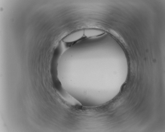 X0000070250481200606232011