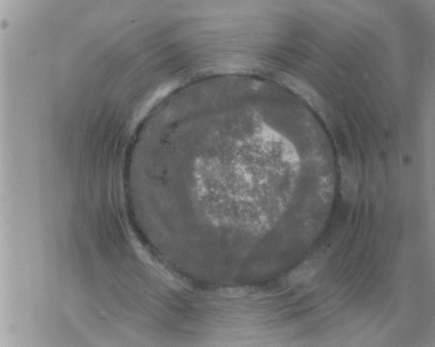 X0000070250482200606232011