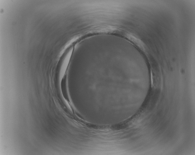 X0000070250483200606232011