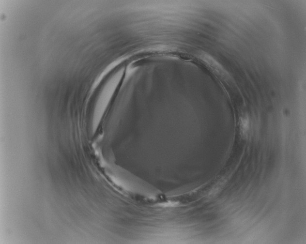 X0000070250484200606232011