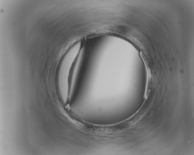 X0000070250485200606232011