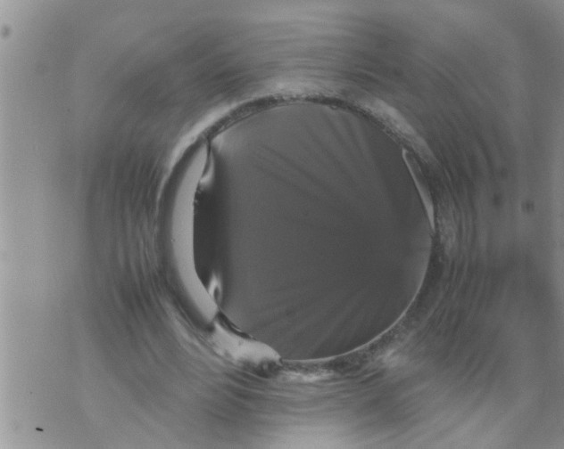 X0000070250488200606232011