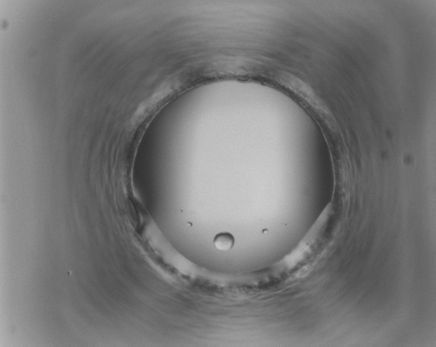 X0000070250489200606232011