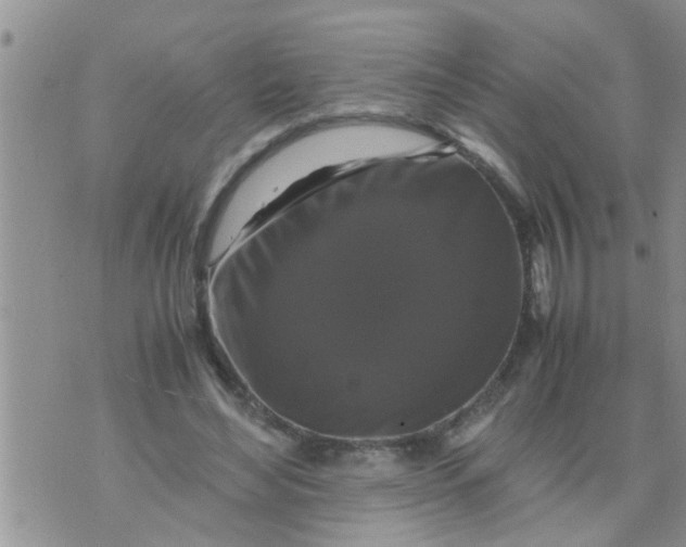 X0000070250492200606232011