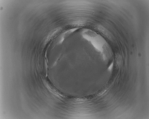 X0000070250494200606232011