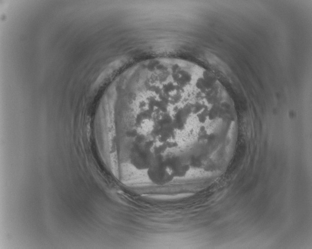 X0000070250495200606232011