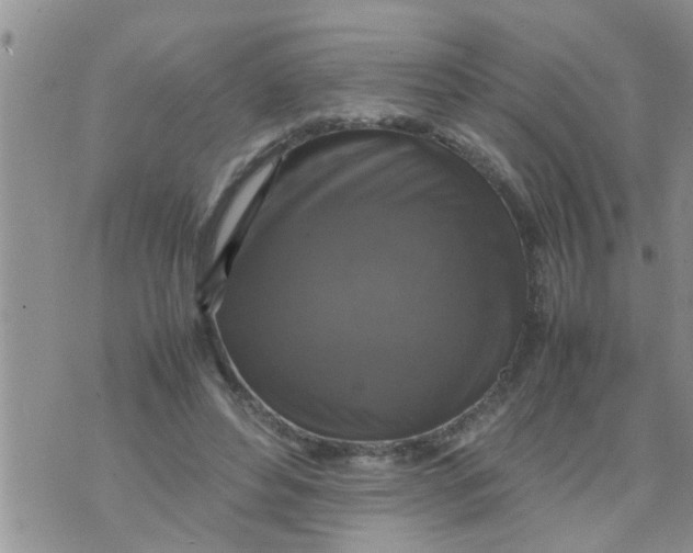 X0000070250496200606232011