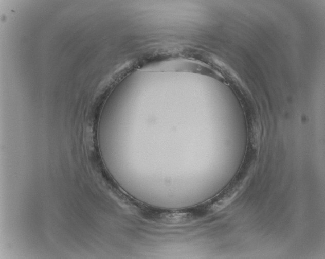 X0000070250497200606232011