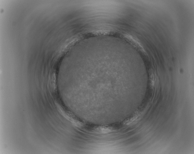 X0000070250498200606232011