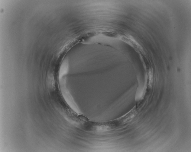 X0000070250500200606232011