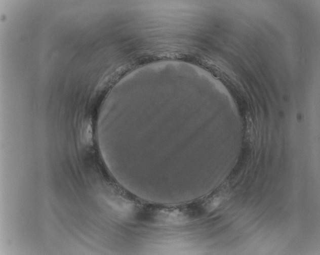 X0000070250502200606232011