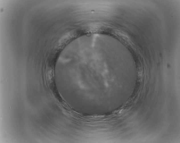 X0000070250503200606232011