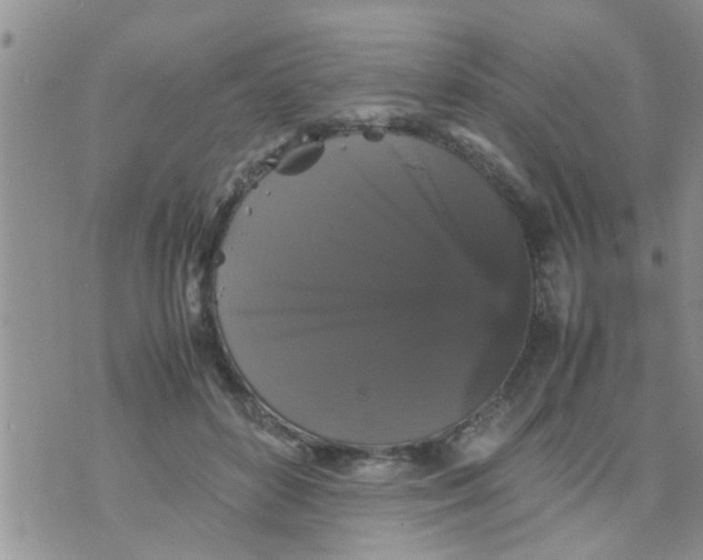 X0000070250504200606232011