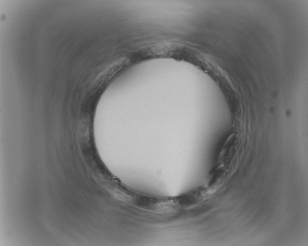 X0000070250505200606232011