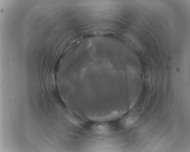 X0000070250506200606232011