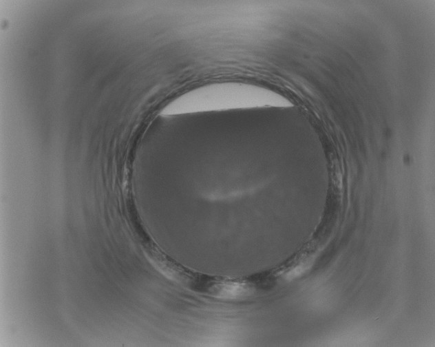 X0000070250507200606232011