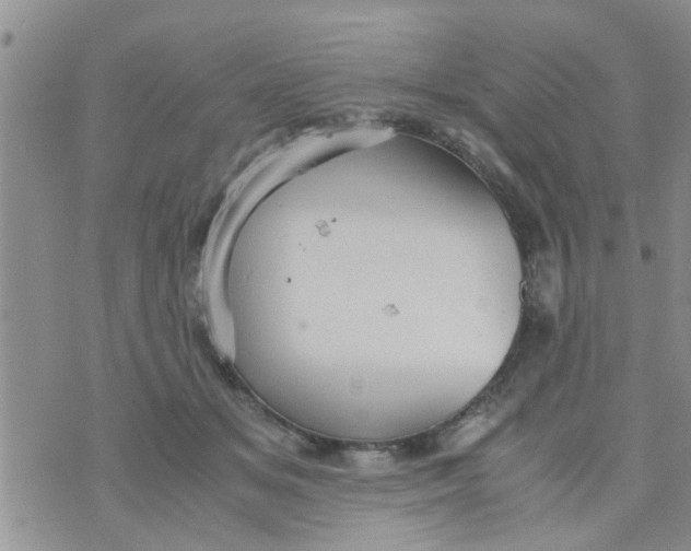 X0000070250509200606232011