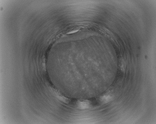 X0000070250510200606232011