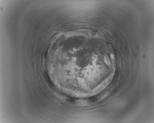 X0000070250511200606232011