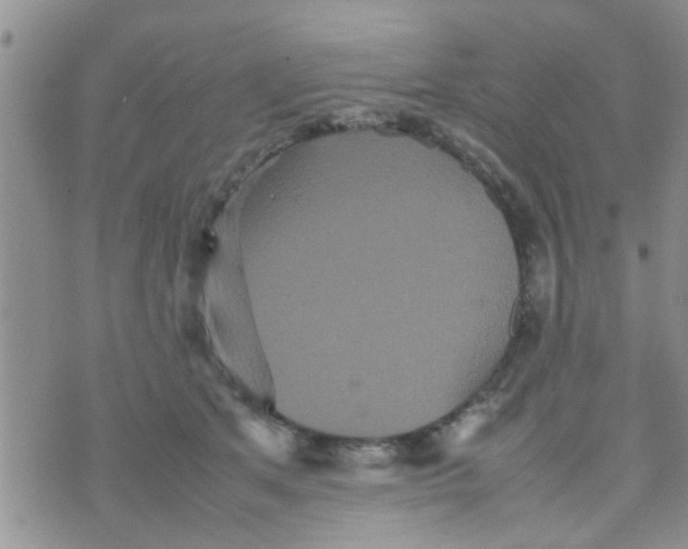 X0000070250513200606232011