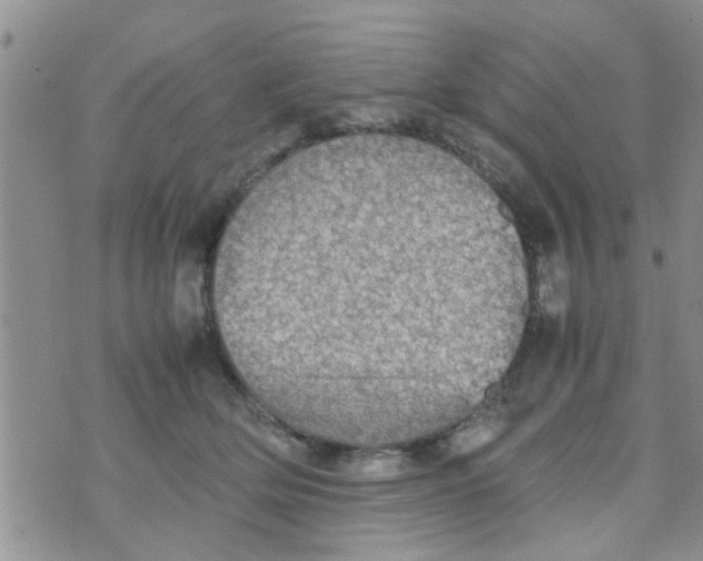 X0000070250514200606232011