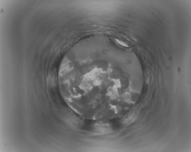 X0000070250515200606232011