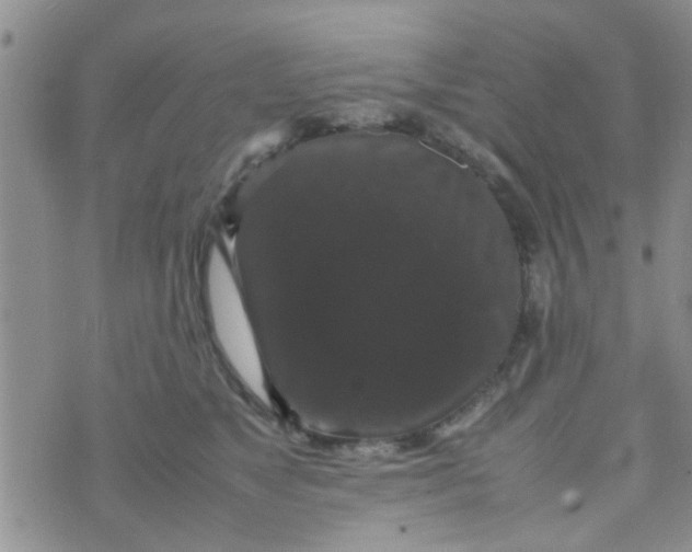 X0000070250517200606232011