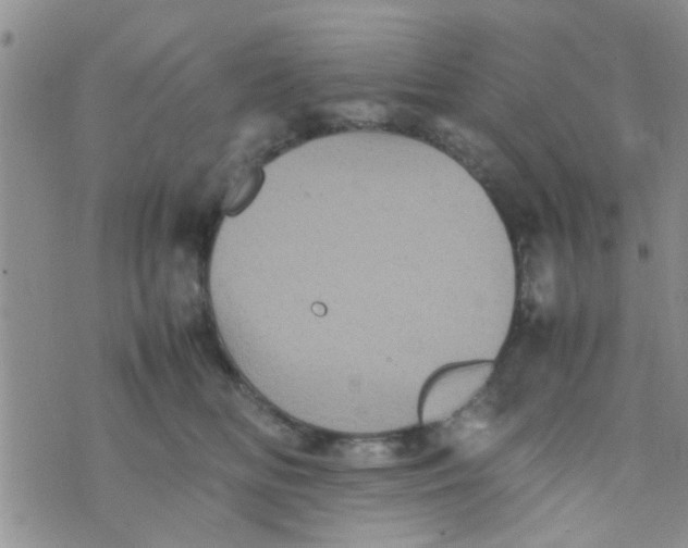 X0000070250518200606232011