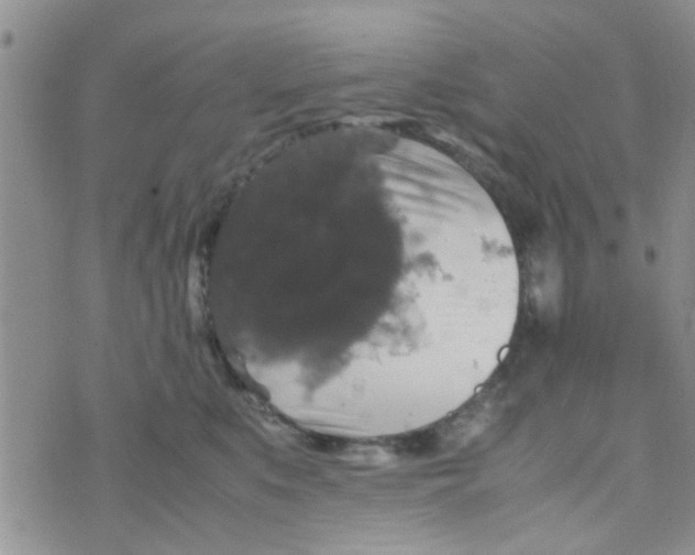 X0000070250519200606232011