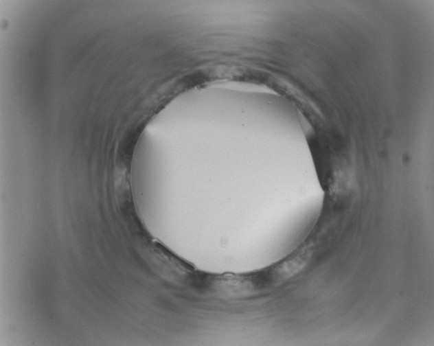 X0000070250521200606232011