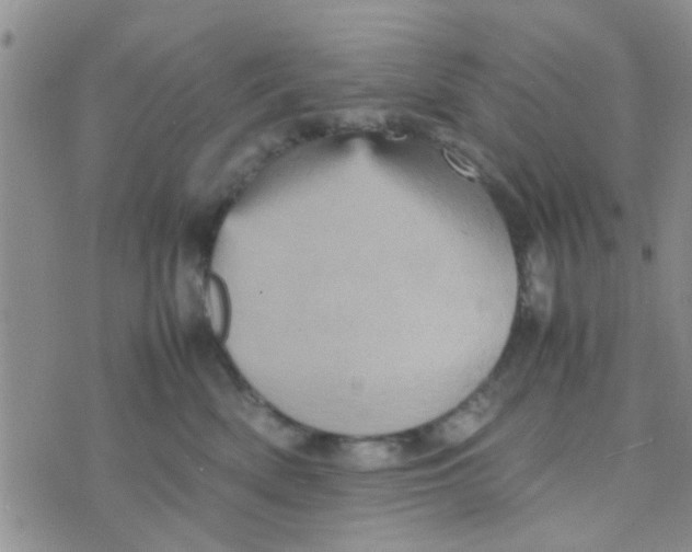 X0000070250522200606232011