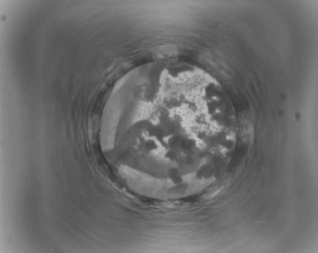 X0000070250523200606232011