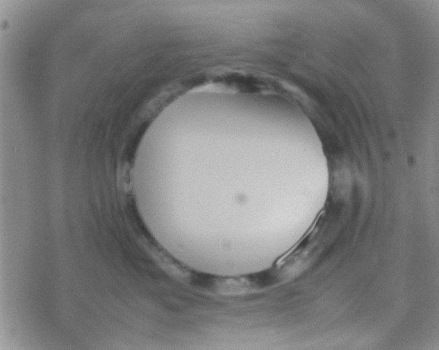 X0000070250525200606232011