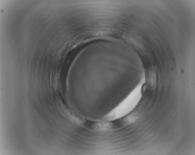 X0000070250526200606232011