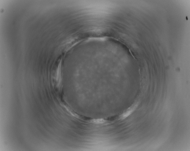 X0000070250528200606232011