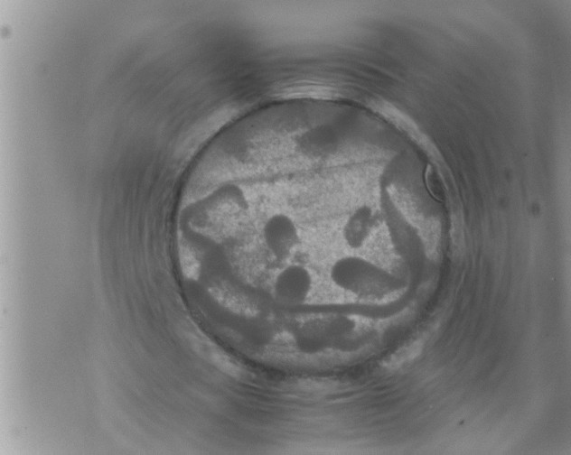 X0000070250529200606232010