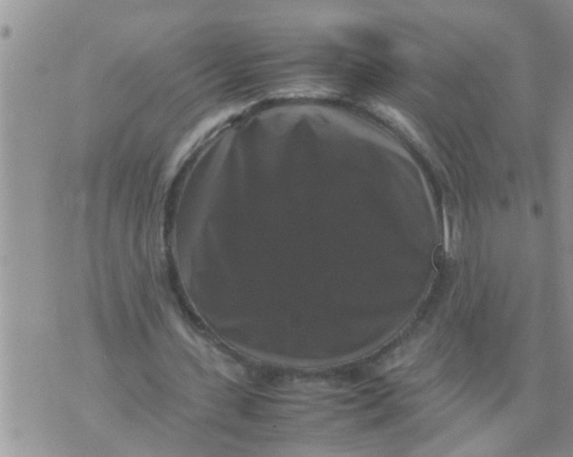 X0000070250531200606232010