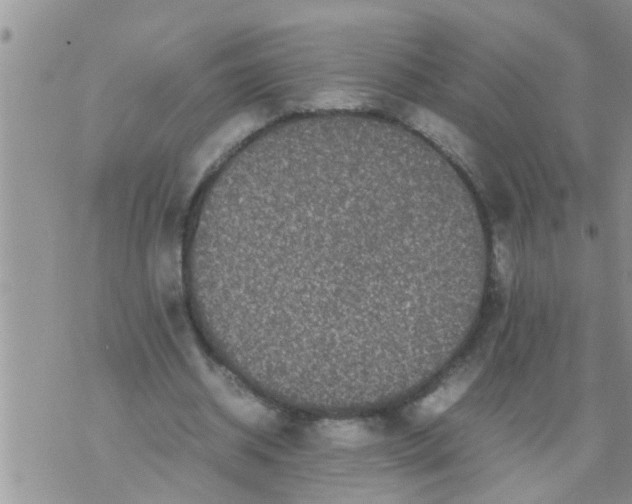 X0000070250534200606232010