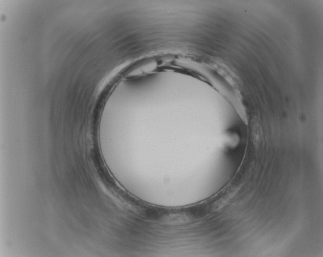 X0000070250536200606232010