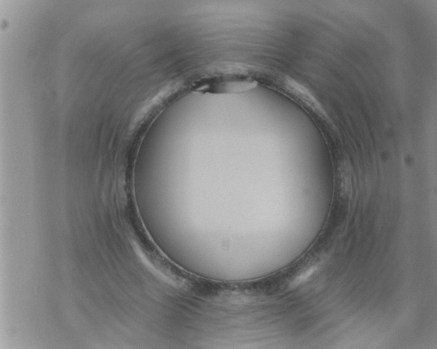 X0000070250538200606232010