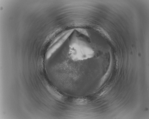 X0000070250542200606232010