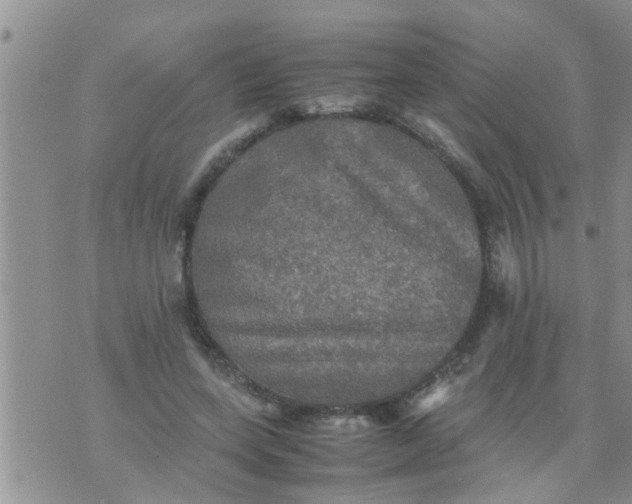 X0000070250543200606232010